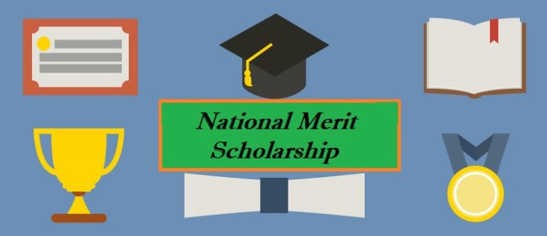 national merit scholarship application essay
