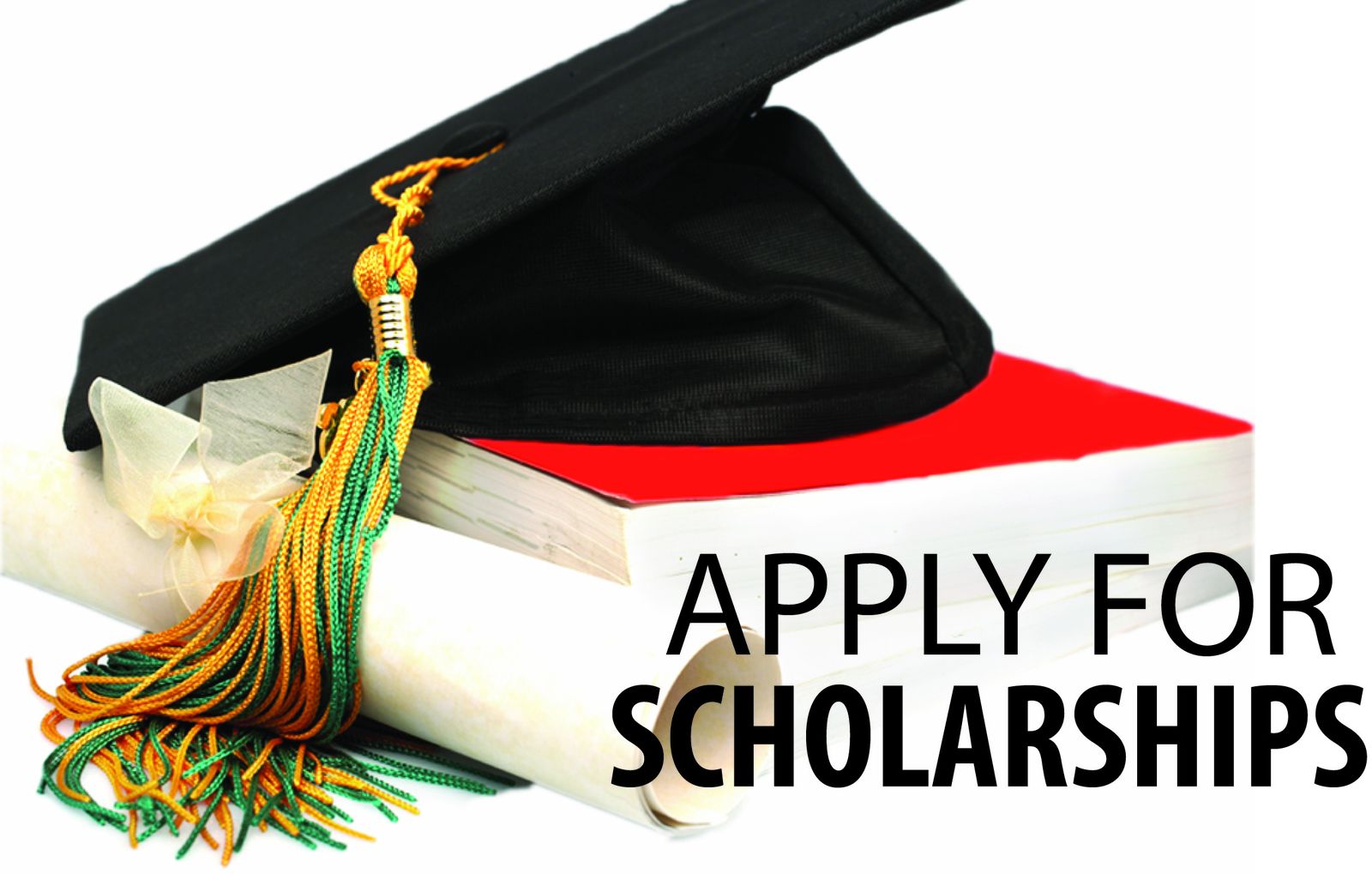 French Academic Cooperation and Excellence (FACE) Scholarship