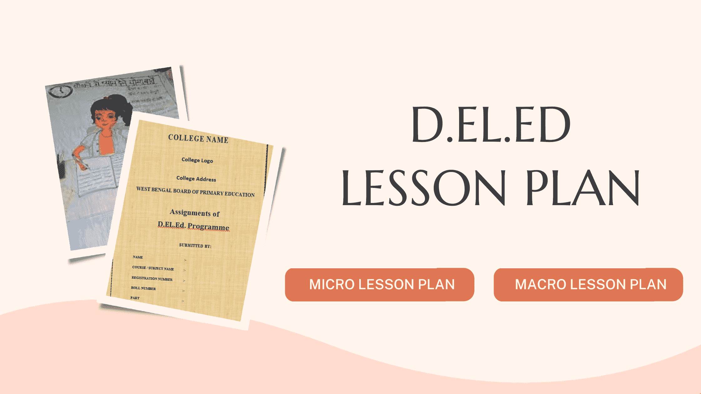 D El Ed Lesson Plan (Micro & Macro)